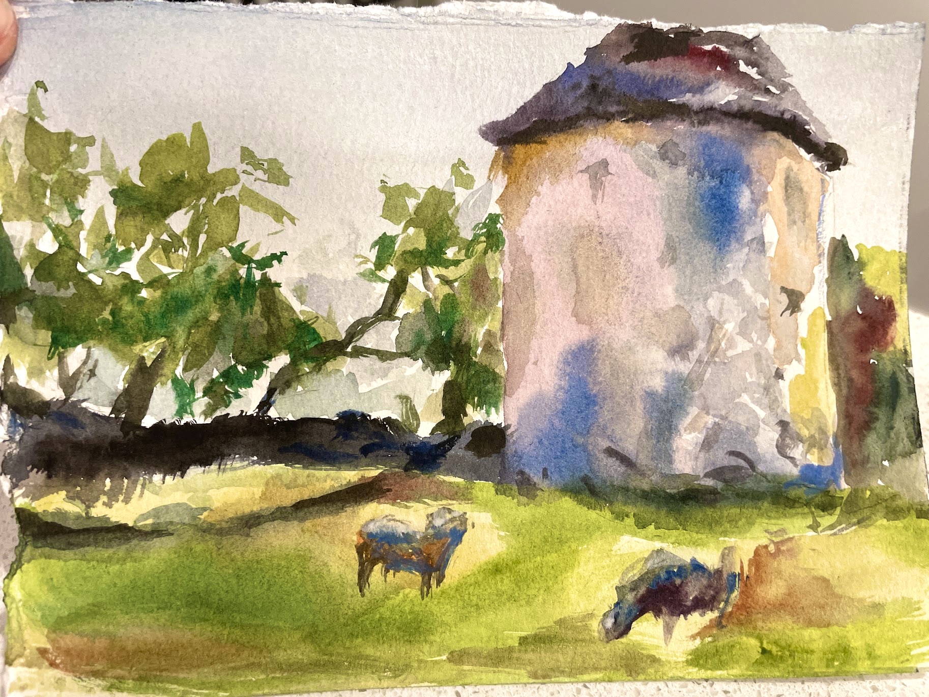 Field